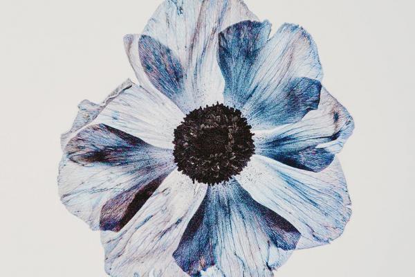  Новый брендинг