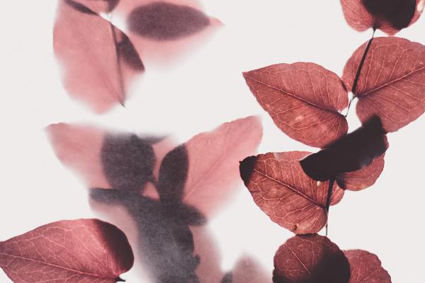  Простая типографика