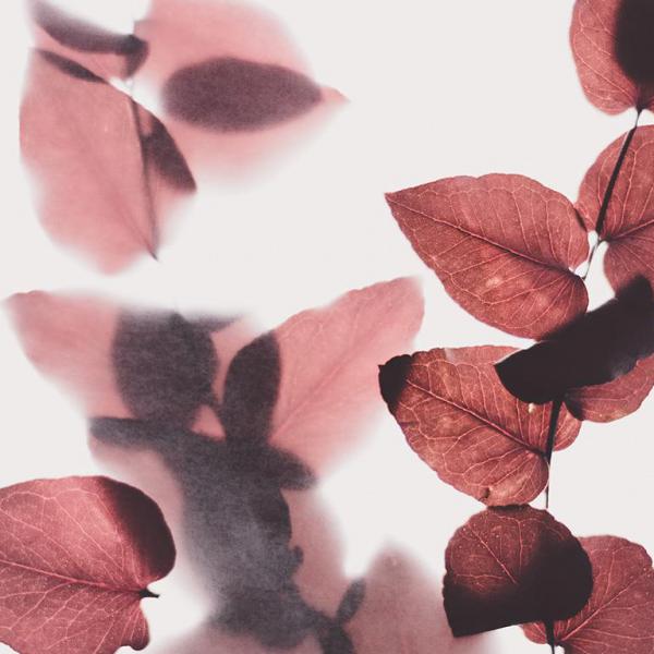  Простая типографика